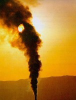 /album/combate-ao-tabagismo/poluio-1-jpg/